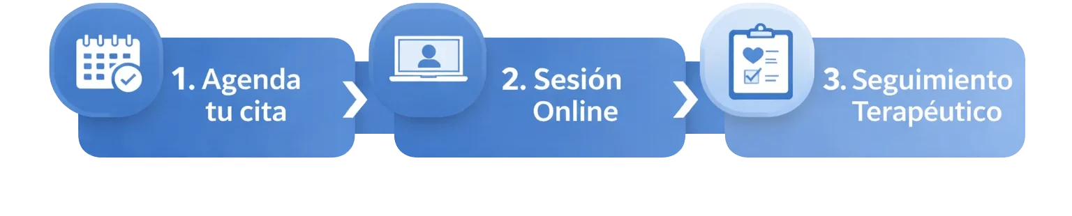 Proceso agendamiento - Editado