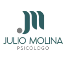 logo julio molina.ai (1)