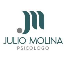 logo julio molina.ai (1)